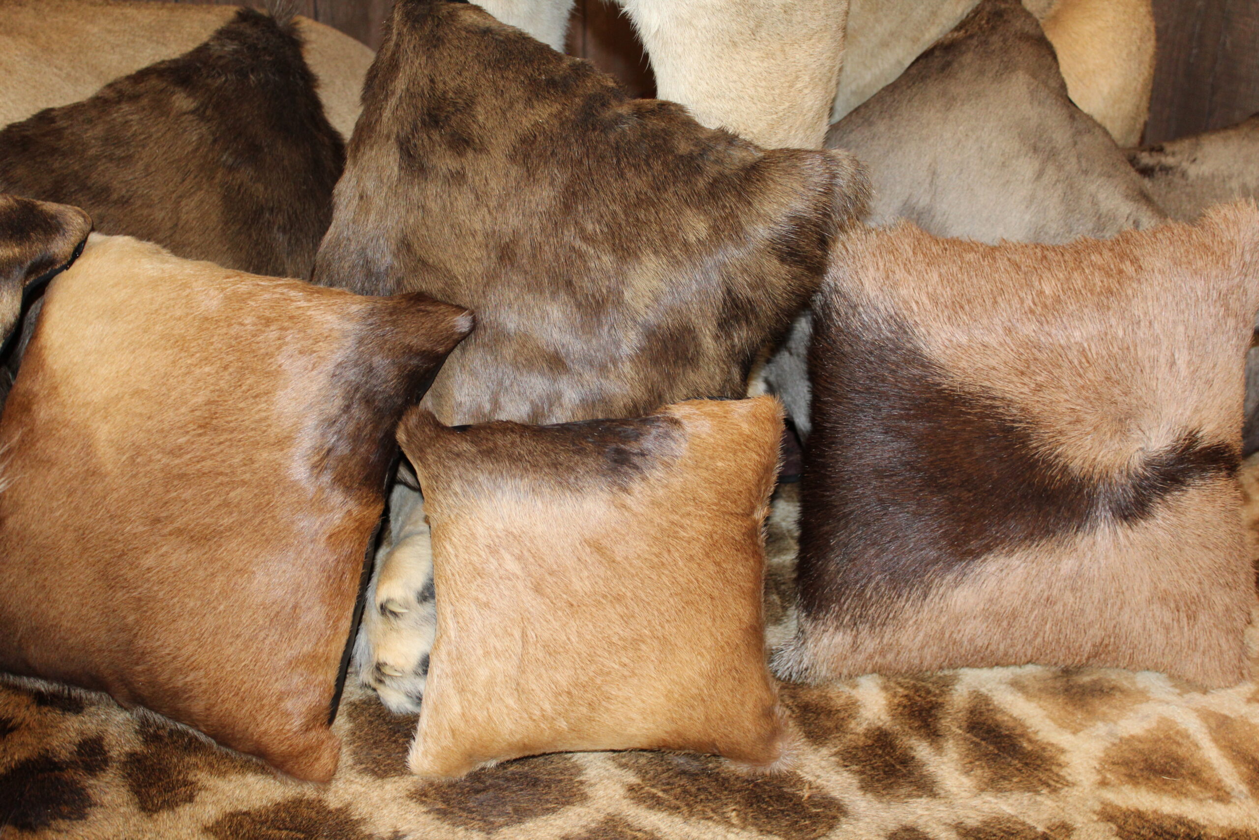 Rug-Be Bears custom pillows