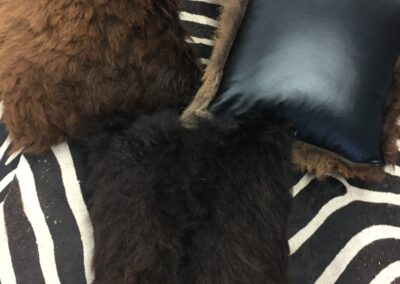 Bison pillows with leather back