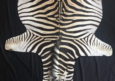 zebra flat rug with vinyl backing leather binding