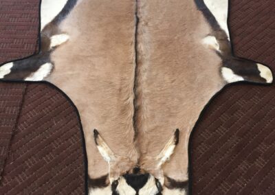 Gemsbok rug with head
