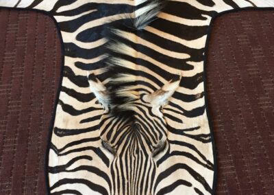 zebra rugging service by Rug Be Bears