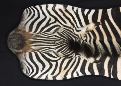 zebra flat head rug