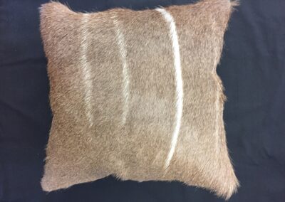 Kudu pillow with leather backing and zipper