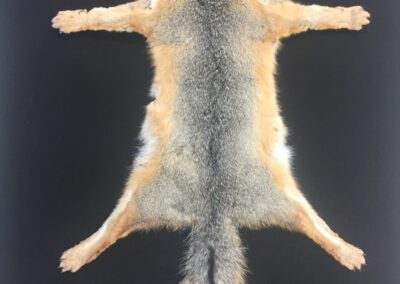 Grey Fox Rug